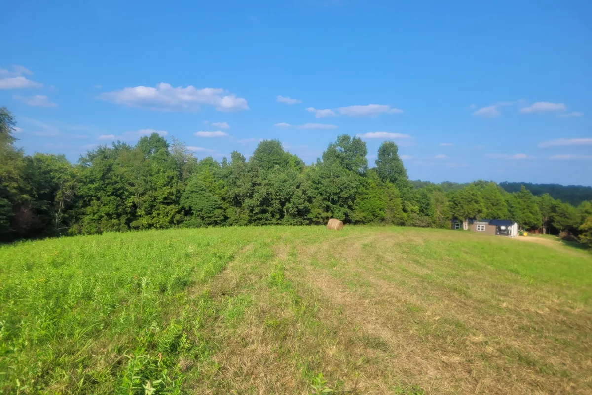 Wide view across the mown ground, with the cabins and farm buildings in the distance at the right