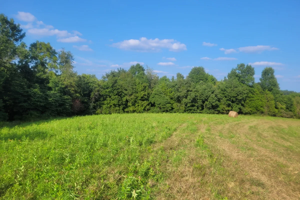 Mown ground to pitch on at the treeline, with a round hay bale beyond, under a clear summer sky