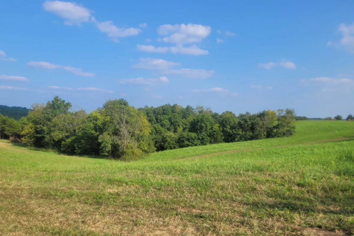 Mown ground sloping down into a wooded hollow, with open field rising beyond