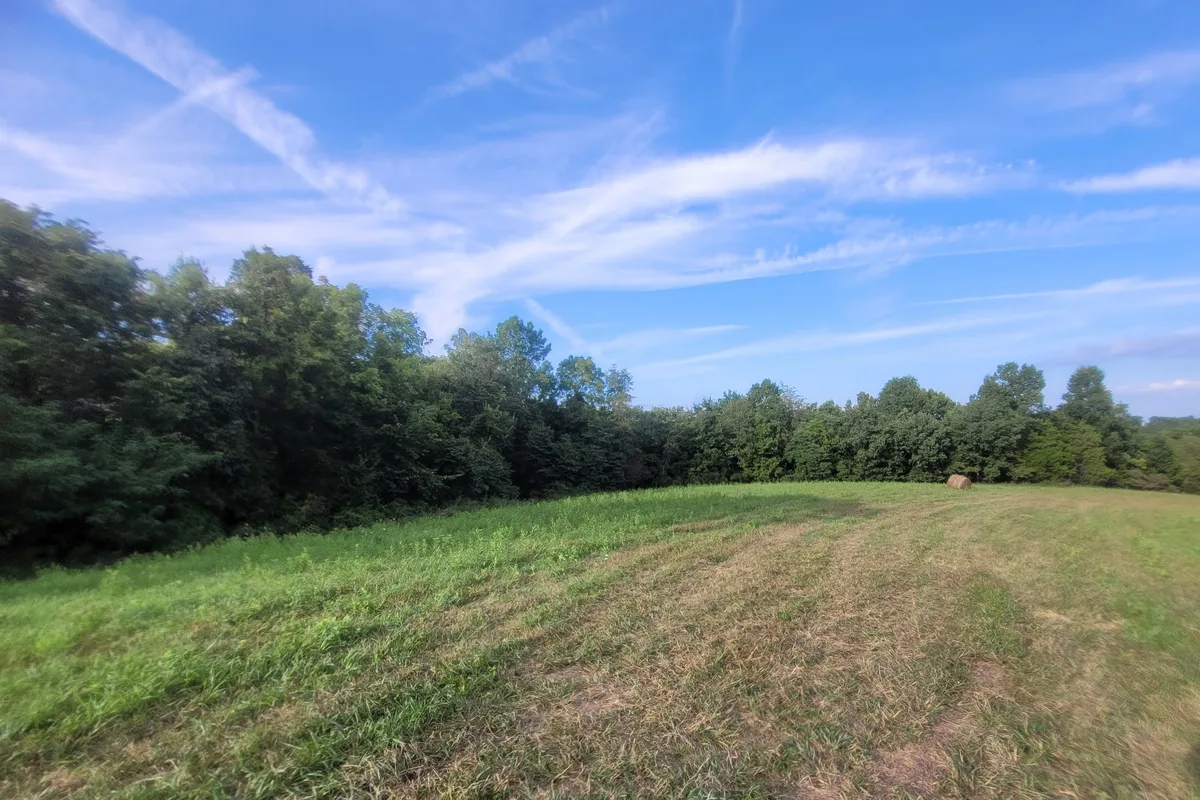 Freshly mown ground running to the treeline, with a single round bale